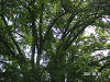 s_PICT0557_thumb.png